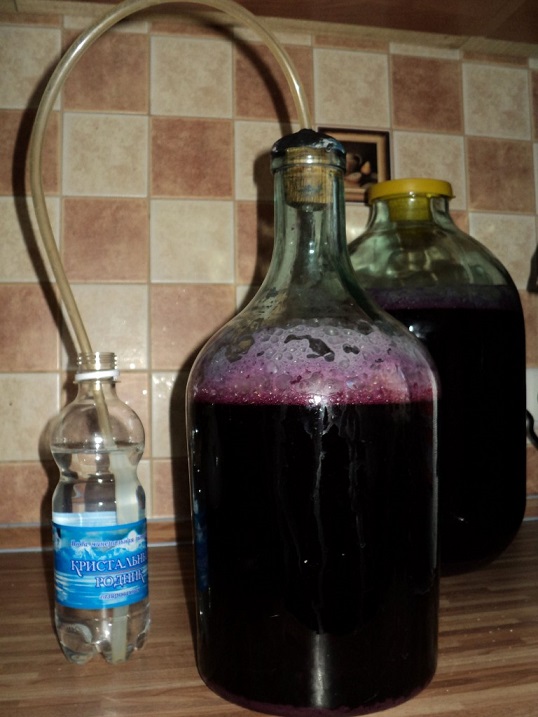 zaklepanje Foto vode fermentirati v pivine konjak