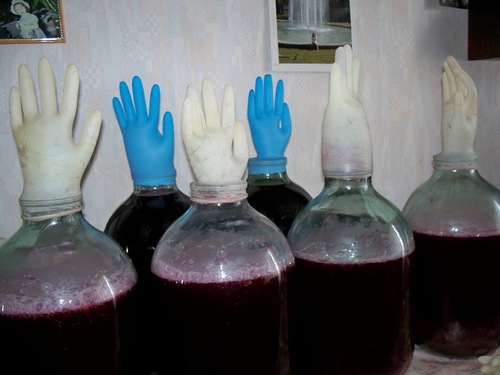 Zdjęcie Rękawice brandy fermentacji