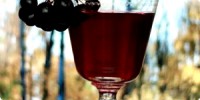 Moonshine of cherry švestka - pravý recept na divoké kvasinkové kaší
